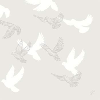 Duni Bio Dunisoft Soft wings - 40x40 cm (60 ks)