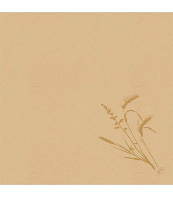 Duni Bio Dunisoft - Meadow natural 40x40cm 60ks/balíček