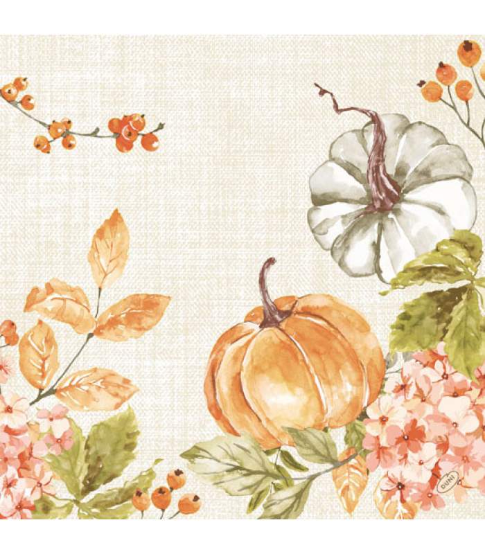 Duni Bio Dunisoft -Spica pumpkin 40x40cm 60ks/balíček