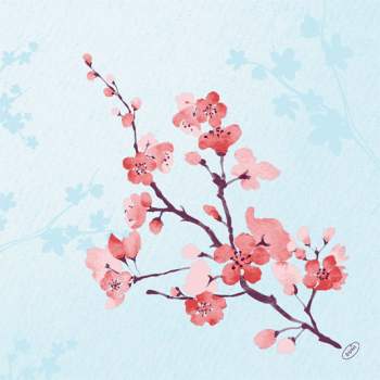 Duni Duni-soft - Cherry breeze blue 40x40cm 60ks/balíček